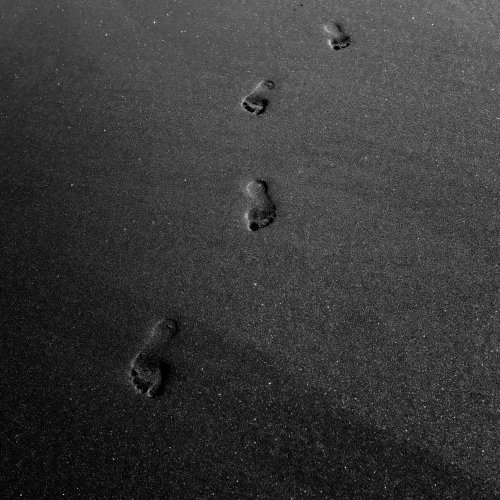 pexels-adrien-olichon-1257089-3646206