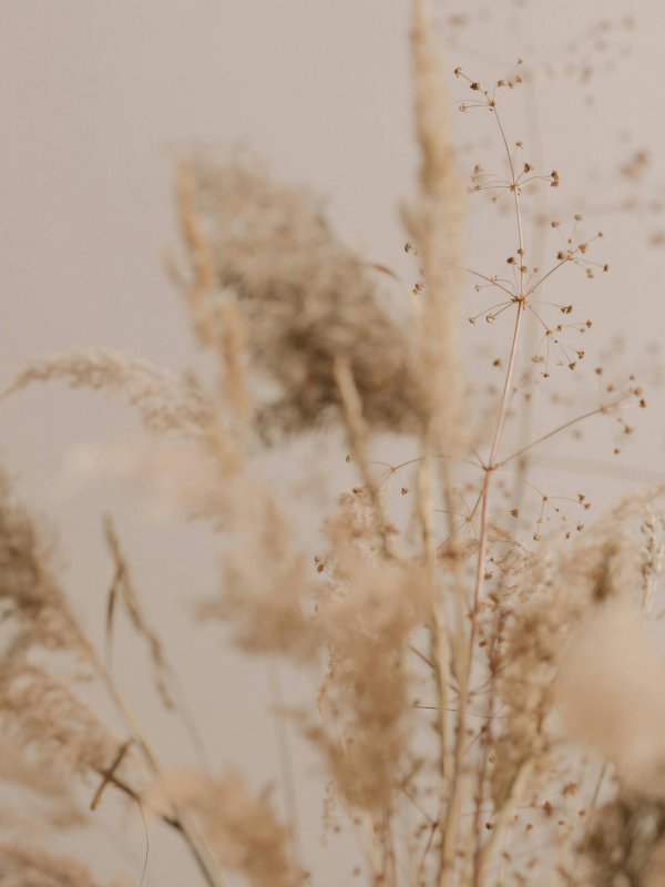 pexels-cottonbro-6627111 2