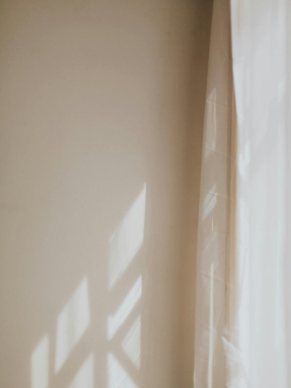 pexels-leticia-alvares-1805702-25685899 2